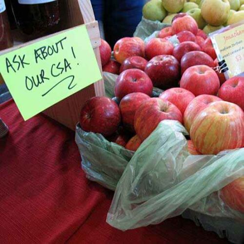 Up Your Local Food Game with Community-Supported Agriculture Image